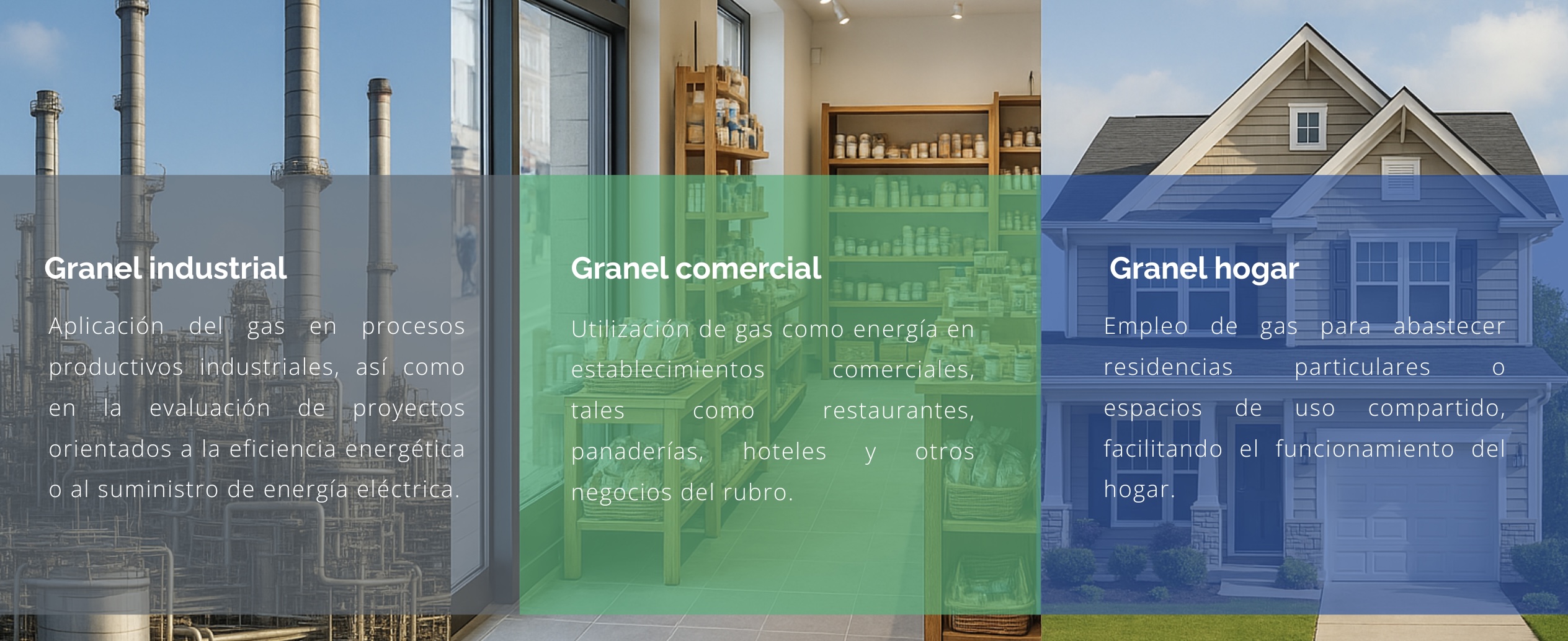Copia de Diagrama web Suma Gas (Cartel) - 3
